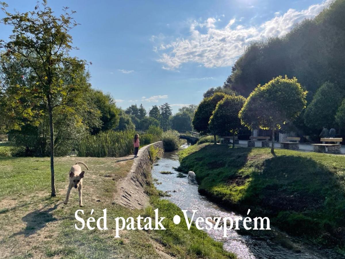 Ruttner Haz Hostel Veszprém Buitenkant foto